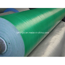 China PE Tarpaulin Factory, Plastic Tarpaulin Roll